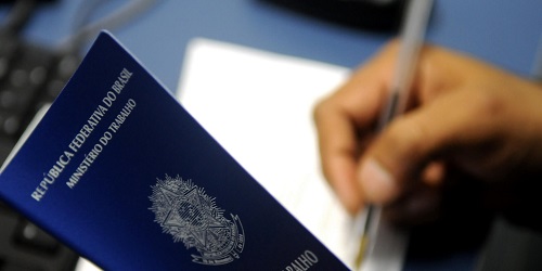 Laudos Especiais e Assessoria